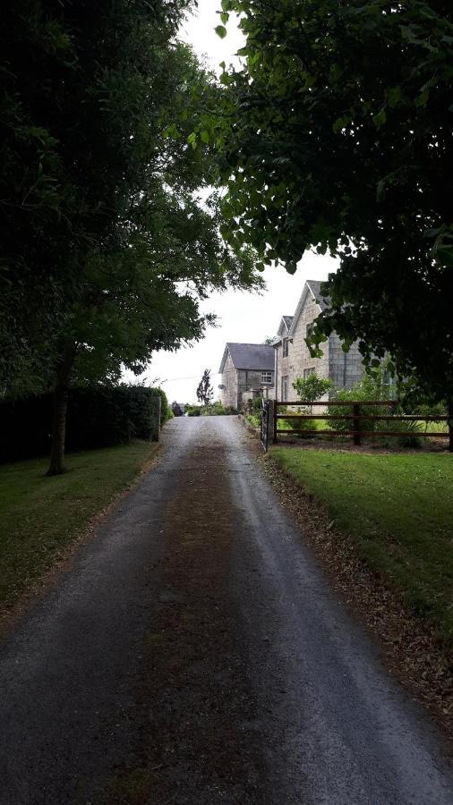 Lorum Old Rectory Bagenalstown Dış mekan fotoğraf
