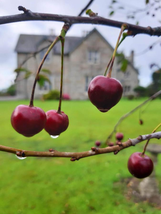 Lorum Old Rectory Bagenalstown Dış mekan fotoğraf
