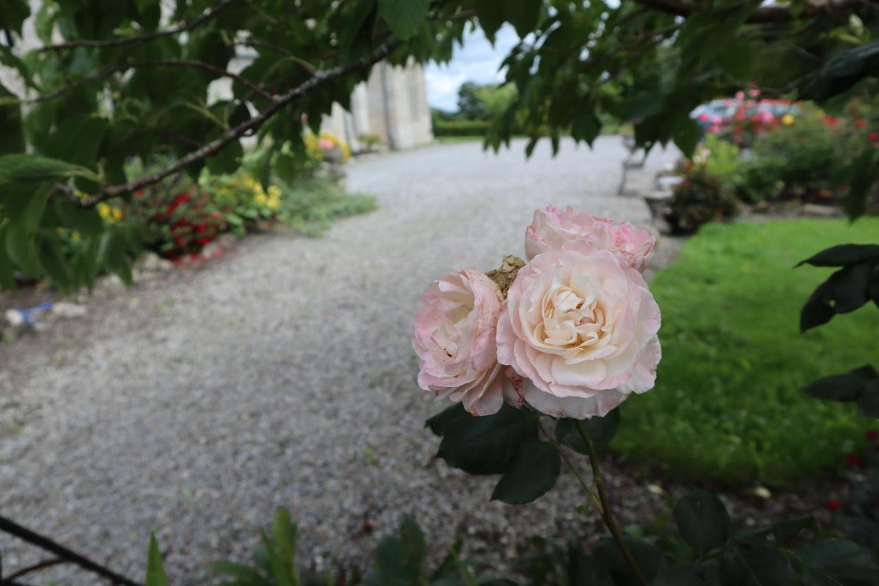 Lorum Old Rectory Bagenalstown Dış mekan fotoğraf